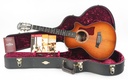Taylor 712ce Fall Limited 2017-1.jpg