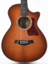 Taylor 712ce Fall Limited 2017-3.jpg