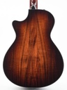 Taylor 712ce Fall Limited 2017-6.jpg