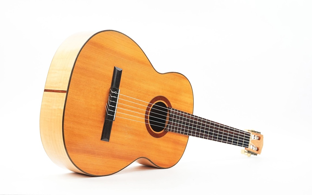 Nico van der Waals Concert Spruce Maple 1962-12.jpg