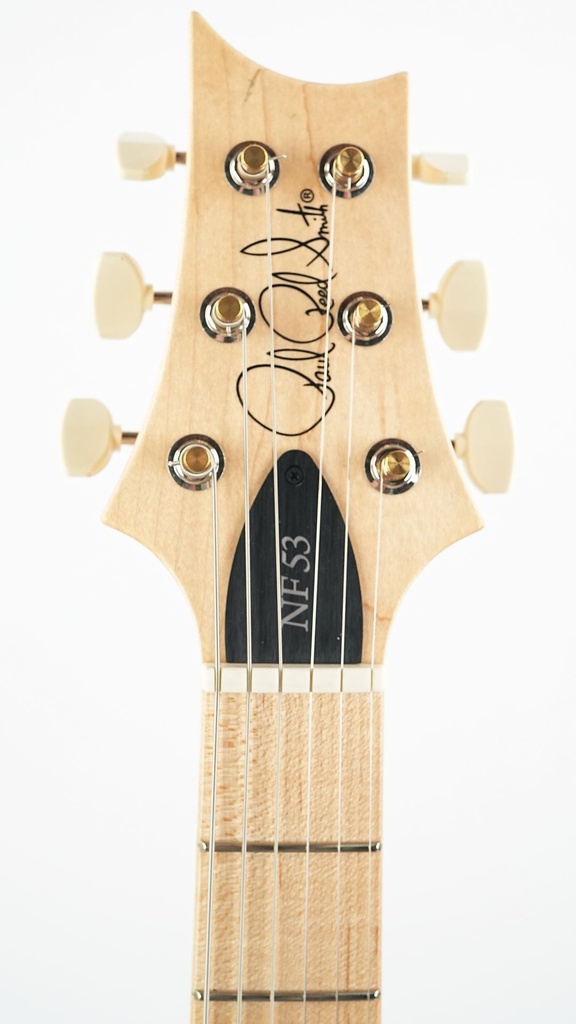 PRS NF53 Doghair 2024-4.jpg