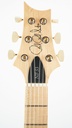 PRS NF53 Doghair 2024-4.jpg
