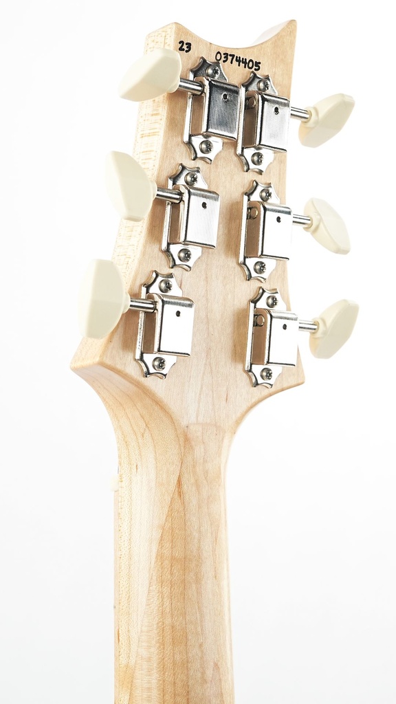 PRS NF53 Doghair 2024-5.jpg
