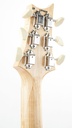PRS NF53 Doghair 2024-5.jpg