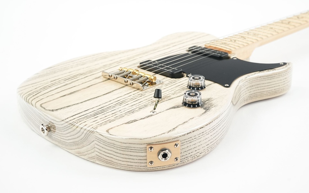 PRS NF53 Doghair 2024-11.jpg