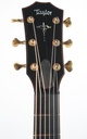 Taylor 912CE Builder's Edition 2022-4.jpg