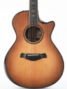 Taylor 912CE Builder's Edition 2022-3.jpg