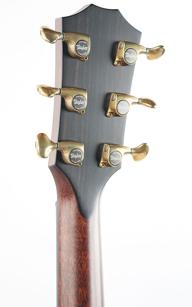 Taylor 912CE Builder's Edition 2022-5.jpg