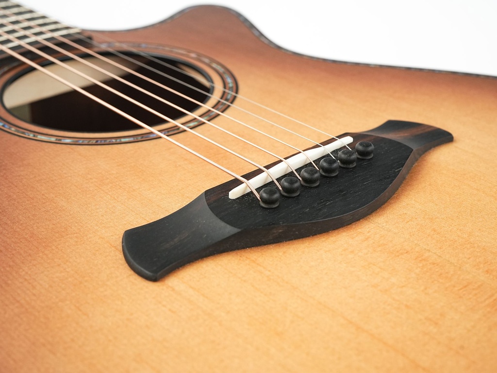 Taylor 912CE Builder's Edition 2022-10.jpg