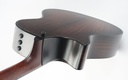 Taylor 912CE Builder's Edition 2022-9.jpg