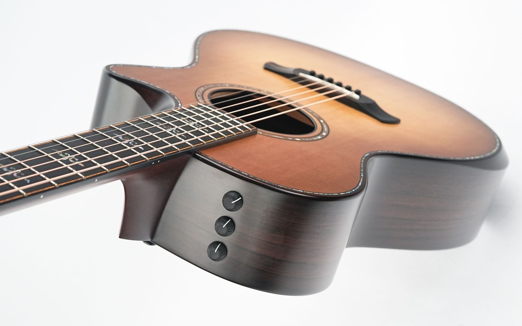 Taylor 912CE Builder's Edition 2022-8.jpg
