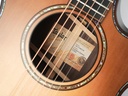 Taylor 912CE Builder's Edition 2022-11.jpg