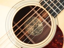 Collings D2HA Adirondack-11.jpg