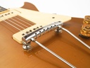 Gibson Les Paul Gold Top 1952-11.jpg