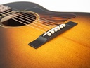Iris MS00 Adirondack Spruce Mahogany Argentine Grey Burst-10.jpg