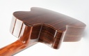 Sergei de Jonge Nylon Crossover Indian Rosewood Adirondack 2023-9.jpg