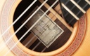 Sergei de Jonge Nylon Crossover Indian Rosewood Adirondack 2023-12.jpg