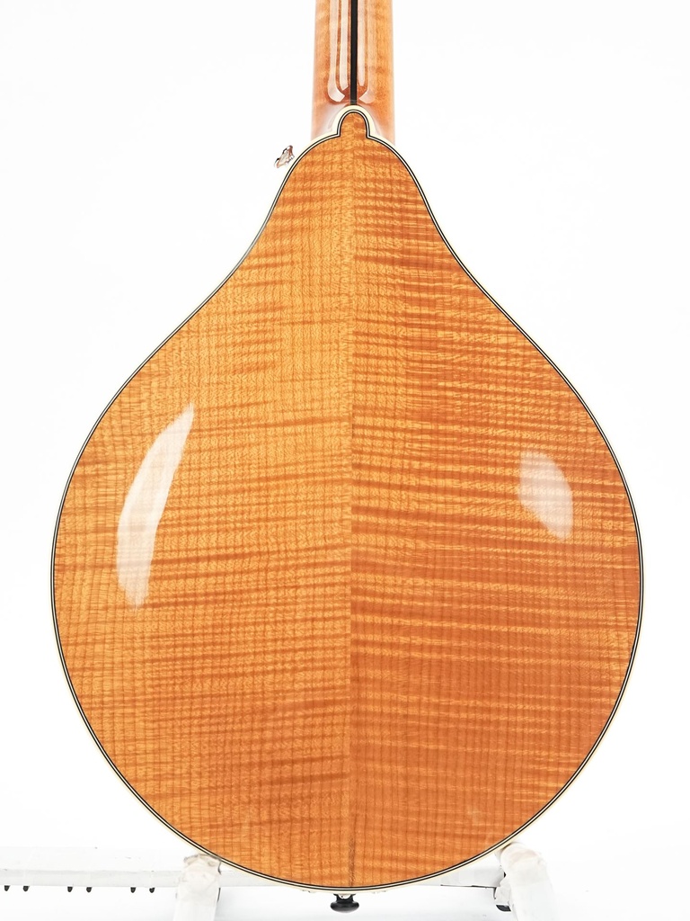 [M0823105] Bourgeois M5A Mandolin Aged Tone Natural 2023-6.jpg