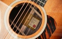 Taylor Gold Label 714e Sunburst-11.jpg