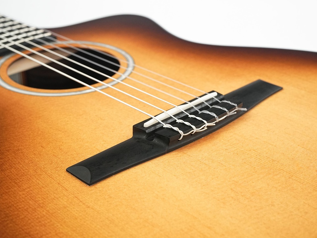 Taylor 214ce-N Sunset Boulevard-10.jpg