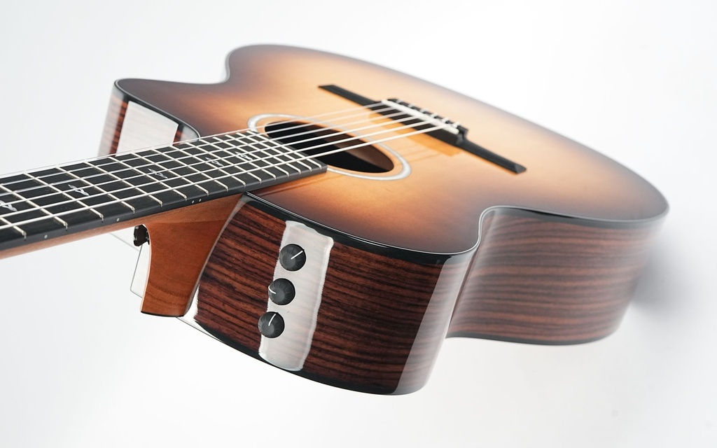 Taylor 214ce-N Sunset Boulevard-8.jpg