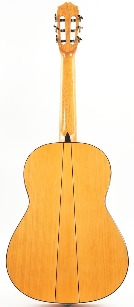 Bautista Iranzo Model 9 Flamenco *Prototype-7.jpg