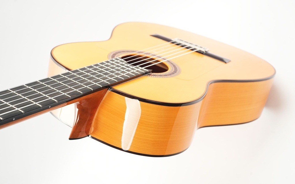 Bautista Iranzo Model 9 Flamenco *Prototype-8.jpg
