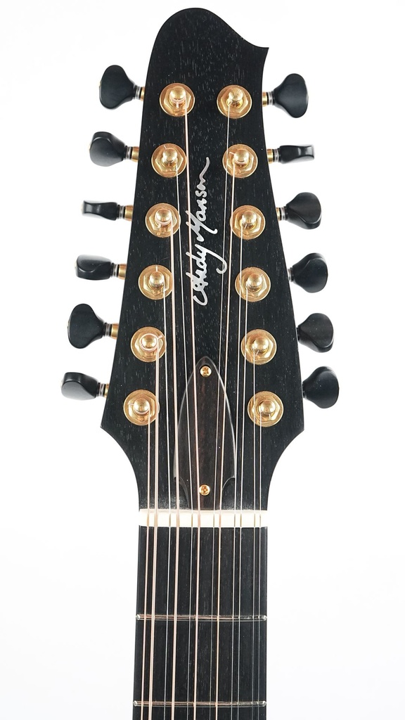 Andy Manson 12 String Madagascar Rosewood Alpine Spruce-4.jpg