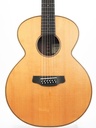 Andy Manson 12 String Madagascar Rosewood Alpine Spruce-3.jpg
