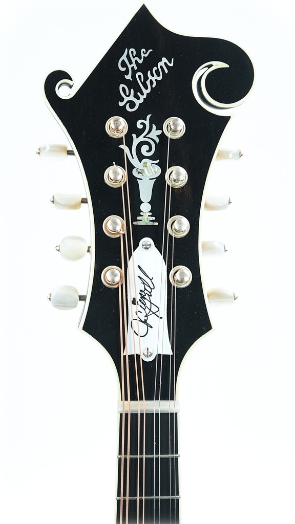  Sierra Hull Master Model VOS Varnish Sierra Burst VOS Varnish-4.jpg