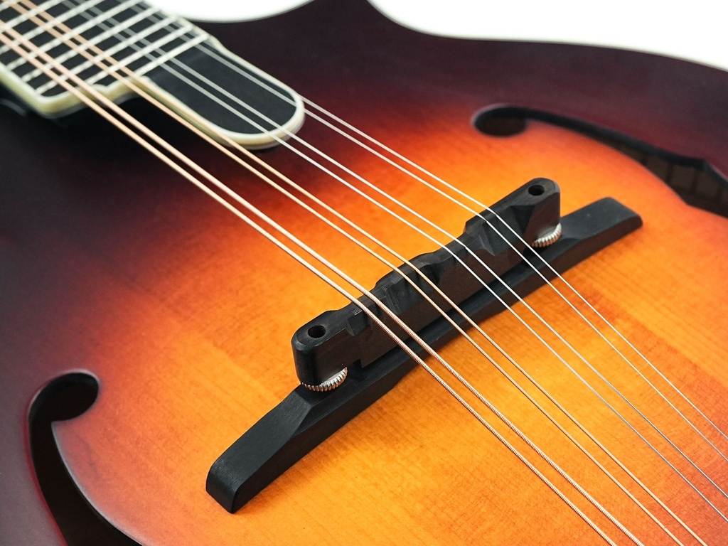  Sierra Hull Master Model VOS Varnish Sierra Burst VOS Varnish-10.jpg