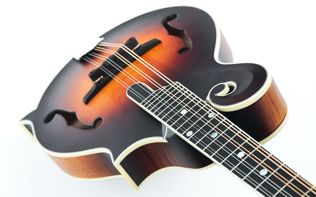  Sierra Hull Master Model VOS Varnish Sierra Burst VOS Varnish-8.jpg