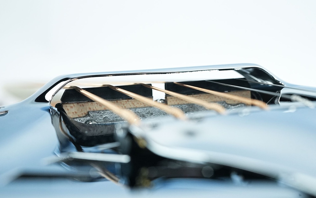 Beard Legacy E Curly Maple-11.jpg