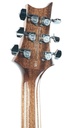 PRS SE A60e Natural-5.jpg