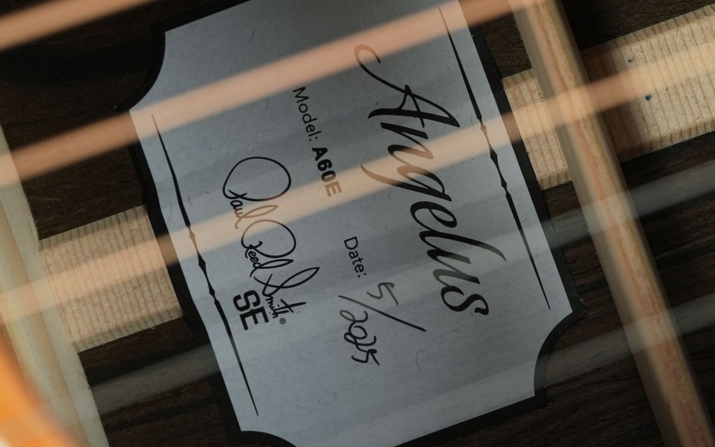 PRS SE A60e Natural-12.jpg