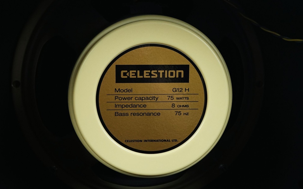 Marble Amps 75 Special Head + 1x12 Cabinet-9.jpg