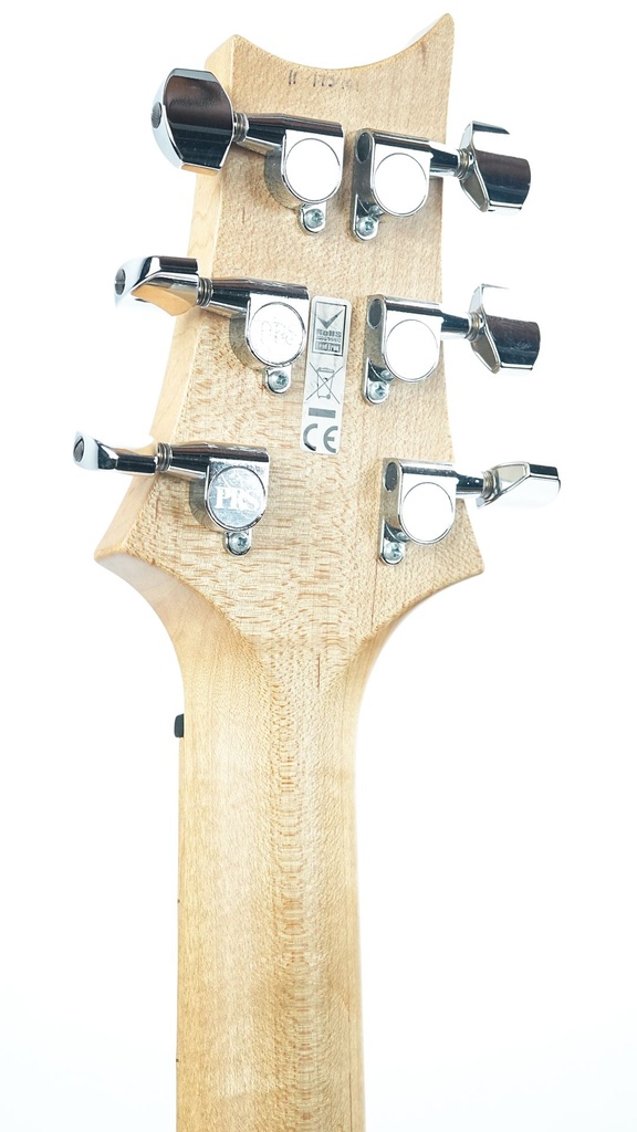 [11 173401] PRS Swamp Ash Special Smokeburst 2011-5.jpg