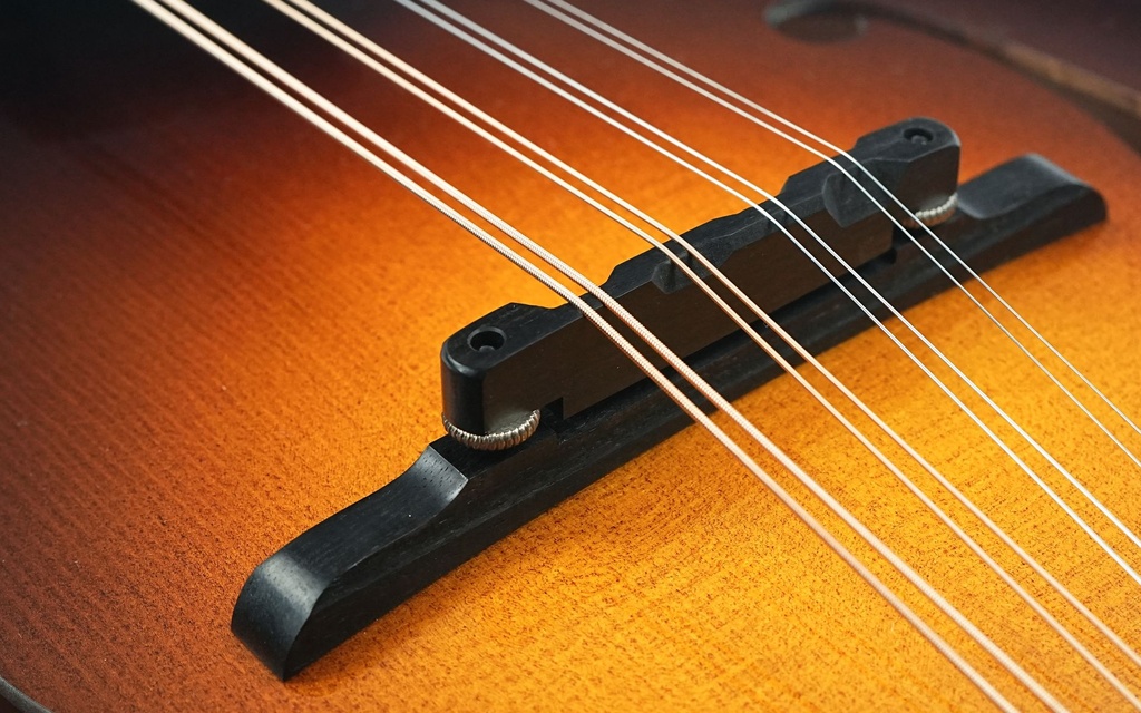 [FA0506-7] Collings MT2 Mandolin-12.jpg