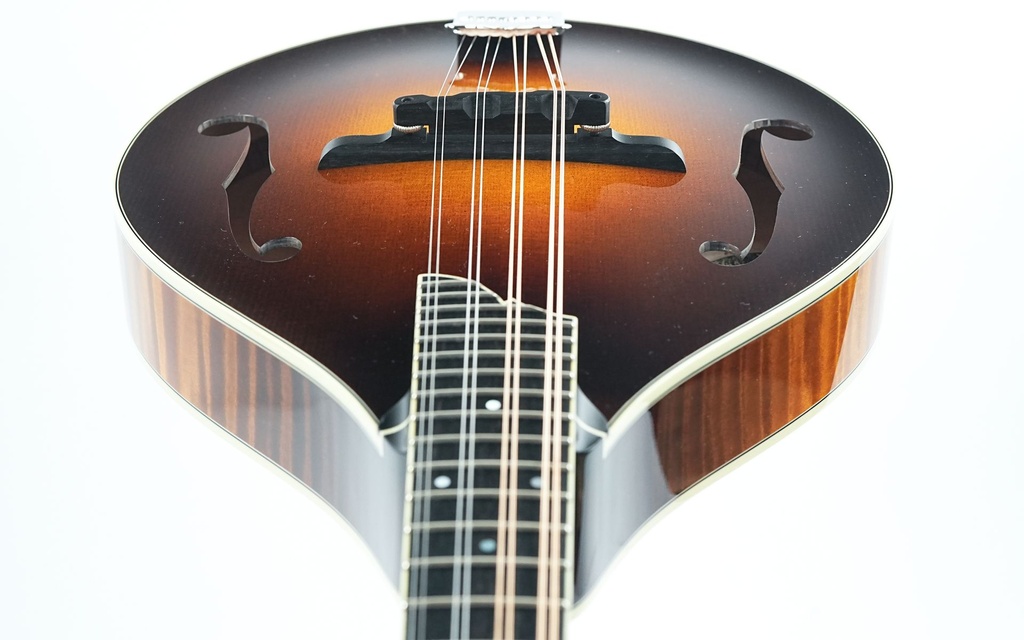 [FA0506-7] Collings MT2 Mandolin-14.jpg