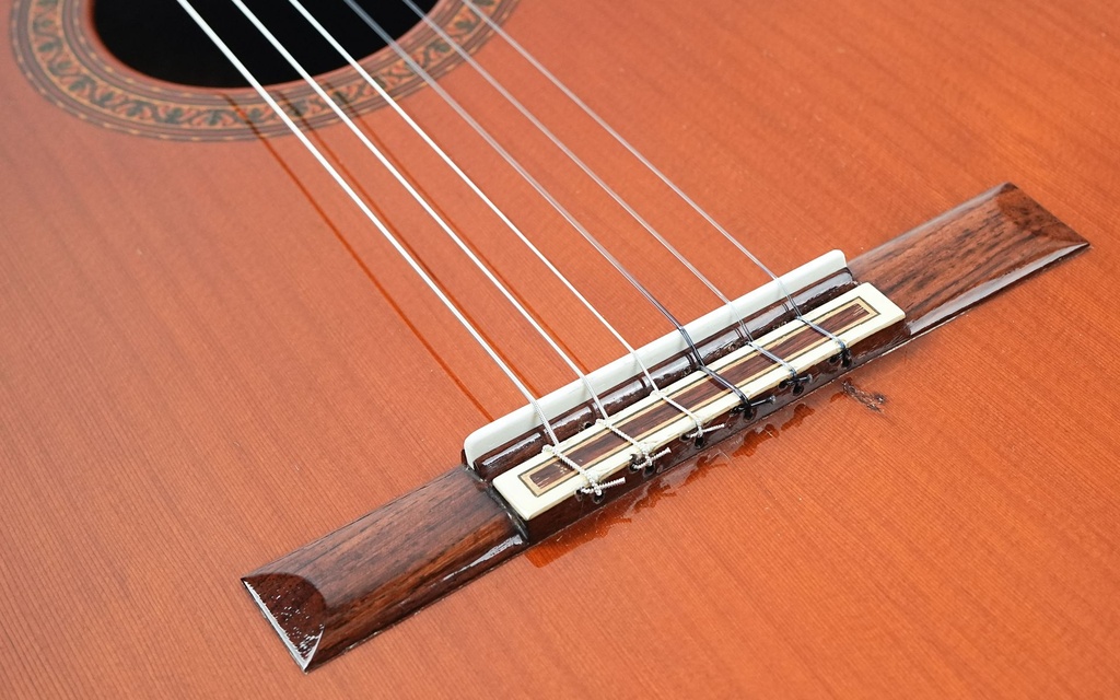 Pedro Maldonado Flamenco Negra 1979-10.jpg