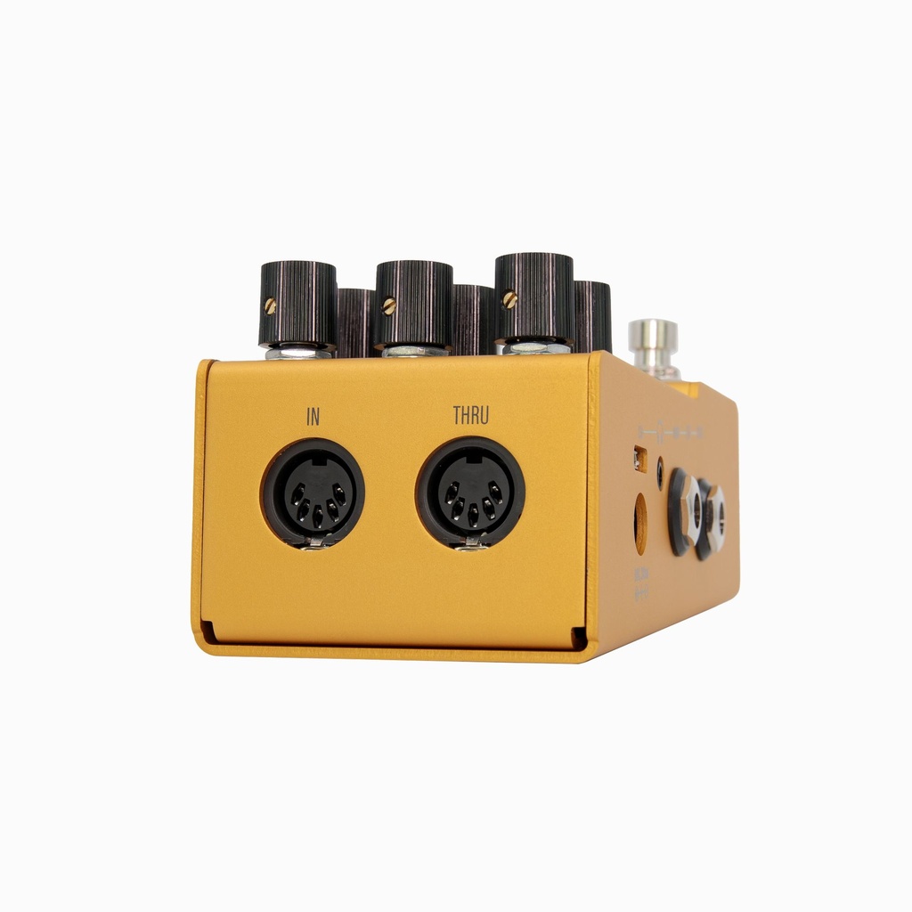 Walrus Audio Mako ACS1 Amp + Cab Simulator-7.jpg