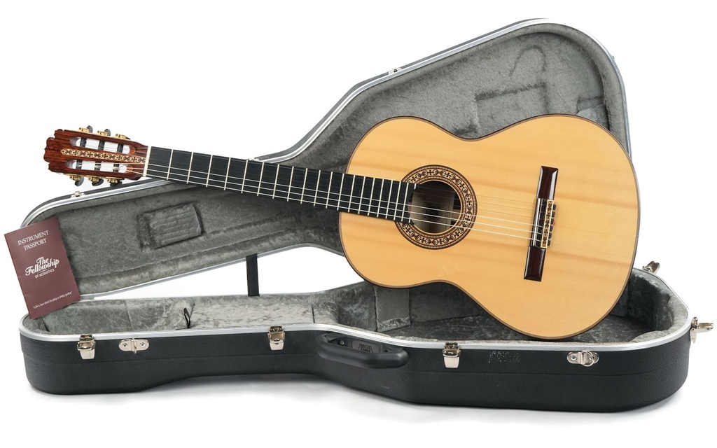 Dirk Janssen D30 Magma Concert Brazilian 2014-1.jpg