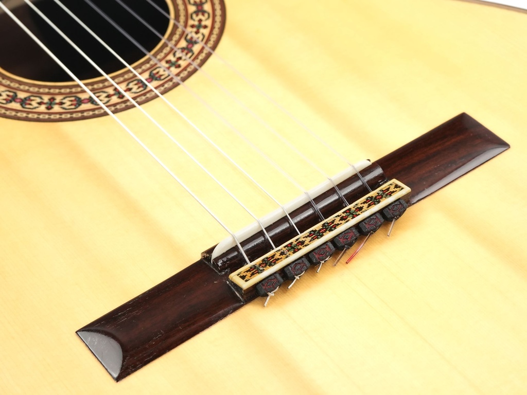 Dirk Janssen D30 Magma Concert Brazilian 2014-11.jpg