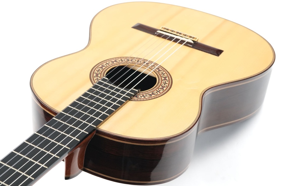 Dirk Janssen D30 Magma Concert Brazilian 2014-9.jpg