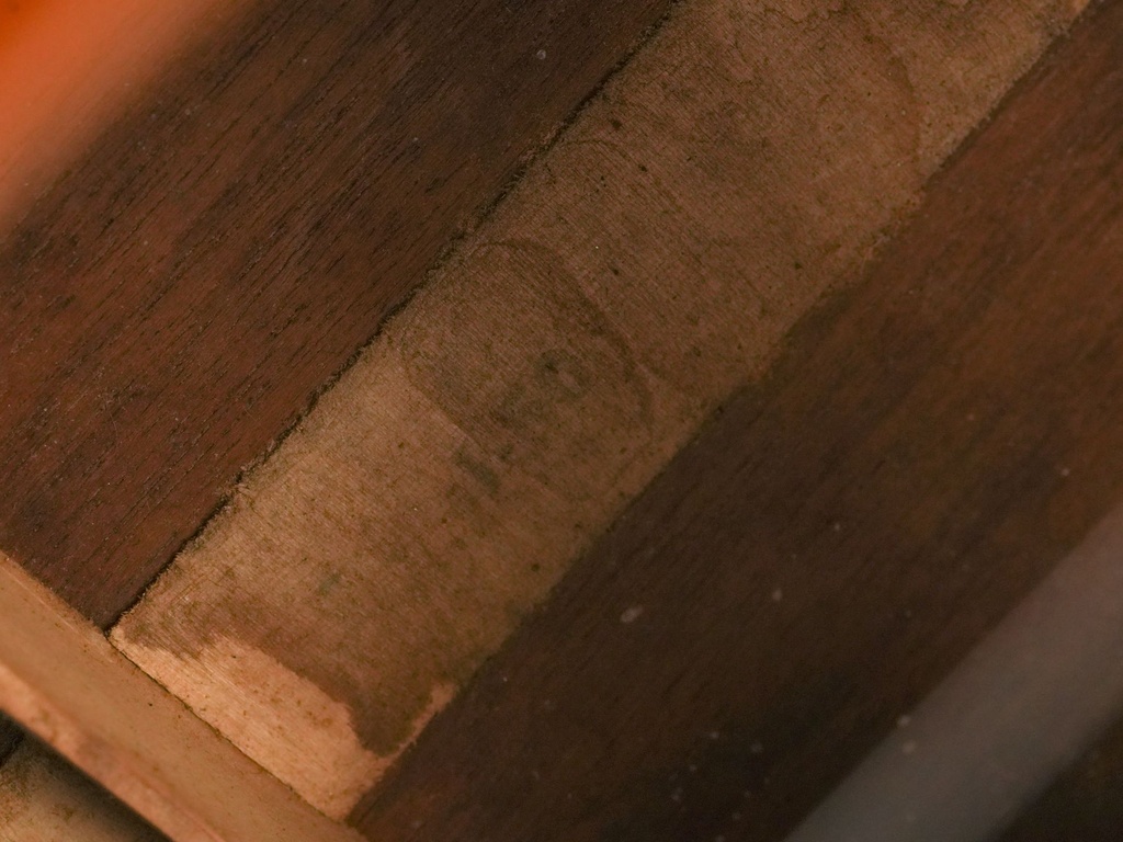 Gibson J50 Mahogany Spruce 1955-12.jpg