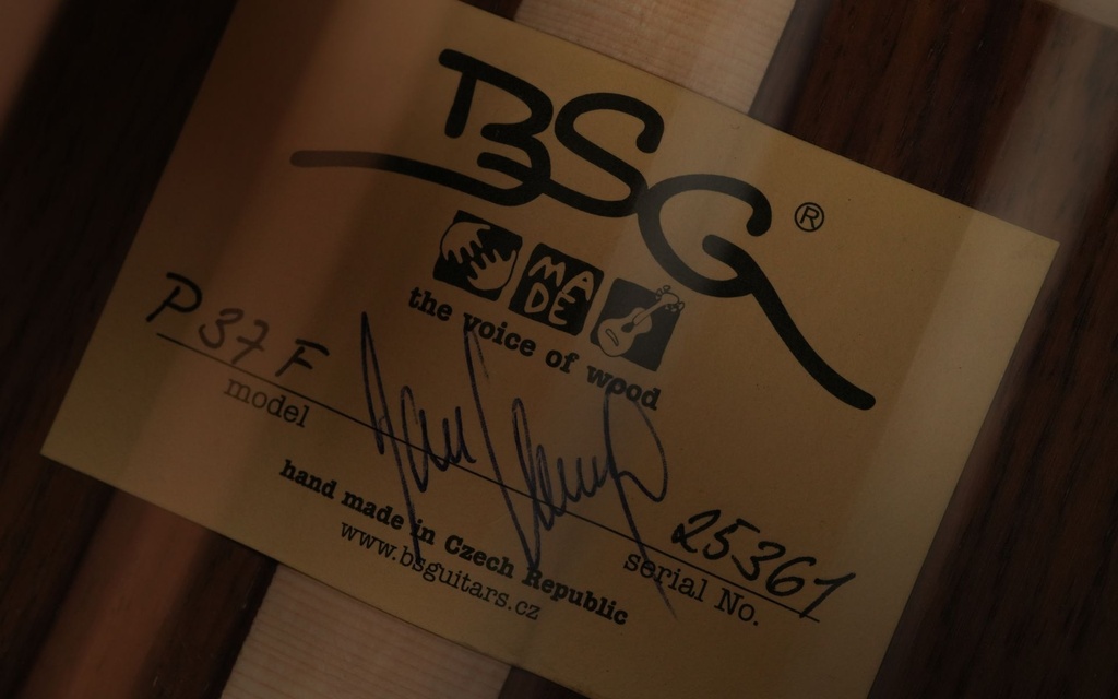 BSG P37F 41 style Parlor Amazon Rosewood-12.jpg