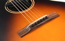 Eastman E20 00SS 2014-10.jpg