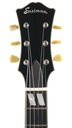 Eastman T486B Sunburst 2018-4.jpg
