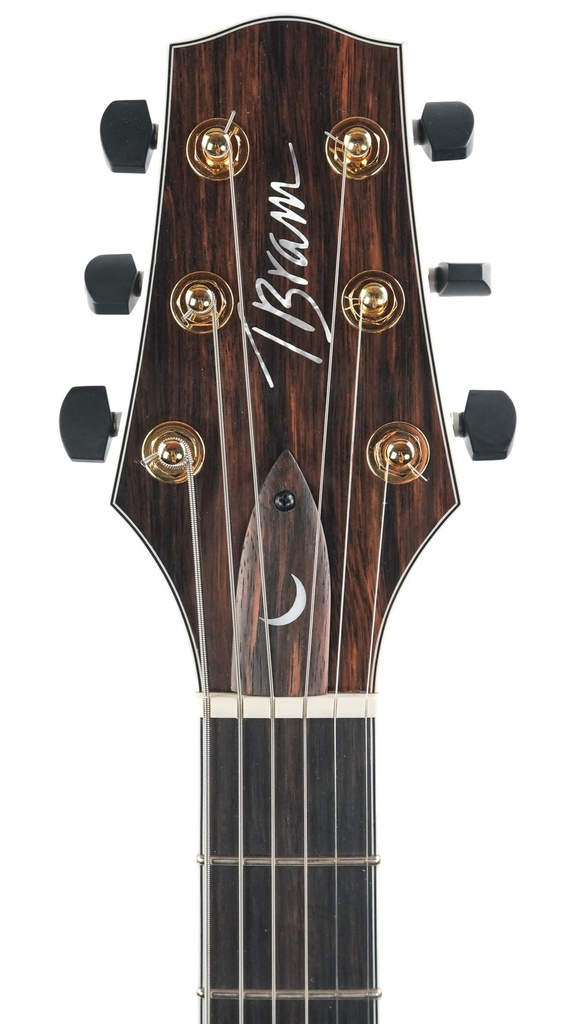 Tim Bram Tribute Archtop Carved Top Sunburst-4.jpg