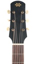 Iris DF Model Sunburst-4.jpg